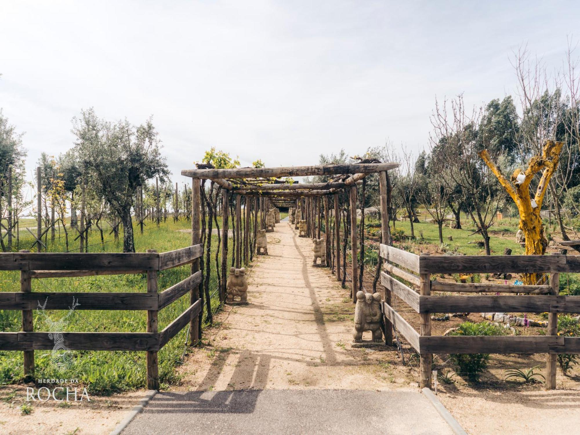 Herdade Da Rocha - Boutique Lodge Крату Екстер'єр фото
