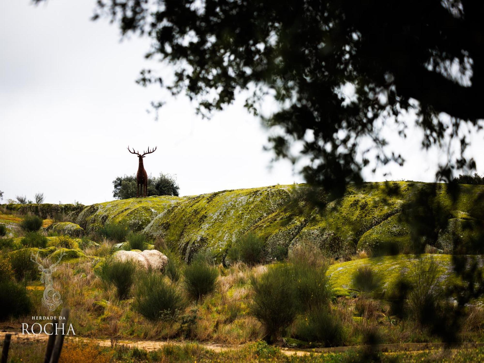 Herdade Da Rocha - Boutique Lodge Крату Екстер'єр фото